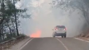 Titik Api Marak, Gubsu Minta Hentikan Karhutla di Danau Toba