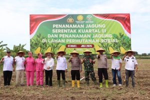 Polres Langkat Tanam Jagung Serentak di Lahan Bhayangkara, Dorong Swasembada Pangan dan Kesejahteraan Masyarakat