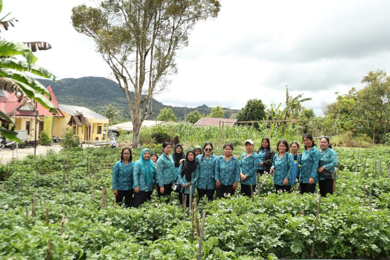 TP PKK Desa Boangmanalu Sosialisasikan Budidaya Kentang untuk Ketahanan Pangan