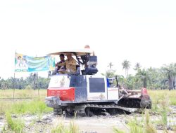 Pemkab Sergai Genjot Produksi Pangan Lewat Optimalisasi Lahan Rawa