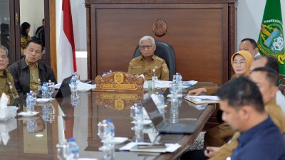 Wagub Sumut Ikuti Rakor Inflasi, Pemda Diminta Kendalikan Harga Beras