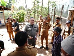 BUMDes Meradu Mende Kembangkan Peternakan Bebek Petelur di Sitellu Tali Urang Julu