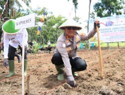 Kapolres Labuhanbatu Tanam Jagung Serentak Dukung Ketahanan Pangan Nasional