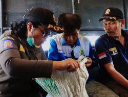 Pemkab Samosir Jemput ODGJ Terlantar, Wujudkan Layanan Kesehatan Gratis Lewat Program BERANTAS