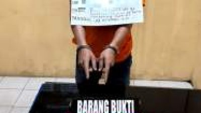 Polsek Bilah Hilir Ringkus Pengedar Sabu di Perkebunan Sawit