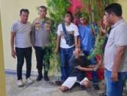 Polsek Dolok Masihul Bongkar Penanaman Ganja