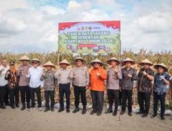 Polres Sergai Ambil Bagian Panen Jagung Nasional Kuartal I 2026