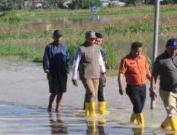 Bupati Taput Tinjau Dampak Puting Beliung di Tarutung dan Sipoholon