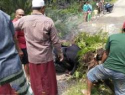 Pelajar SMA Tewas Tertimpa Pohon Sawit di Labuhanbatu Utara