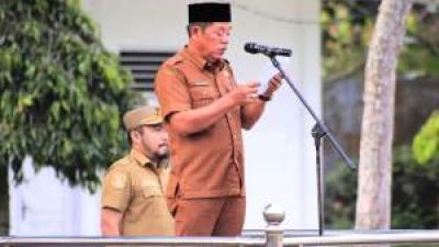 Staf Ahli Bupati Labuhanbatu Tekankan Penguatan Tata Kelola Keuangan Daerah