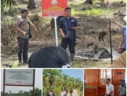 Vonis 10 Tahun dan Denda Rp 856,8 Miliar, Terpidana Kasus Mangrove Belum Dieksekusi
