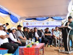 Wabup Samosir Tanam Pohon di Lereng Gunung Pusuk Buhit, Perkuat Komitmen Pelestarian Alam
