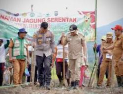 Bupati Pakpak Bharat Tanam Jagung Bersama Warga, Lahan Tidur Disulap Dukung Ketahanan Pangan