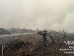 Kebakaran Lahan Gambut di Pelalawan Diduga Berasal dari Areal Koperasi RTBS