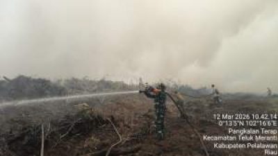 Kebakaran Lahan Gambut di Pelalawan Diduga Berasal dari Areal Koperasi RTBS