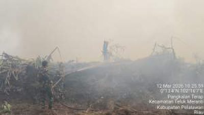 Karhutla Melanda Pelalawan, Puluhan Personel Gabungan Lakukan Pendinginan