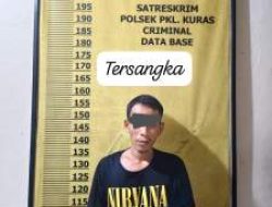 Polsek Pangkalan Kuras Amankan Pencuri Sawit di Lahan Perusahaan