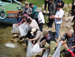 Jaga Ekosistem Danau Toba, Bupati Samosir bersama Yayasan Pusuk Buhit Tebar 1.000 Bibit Ikan dan Tanam 1.000 Pohon
