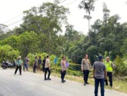 Mobil Masuk Jurang di Pakpak Bharat, Pasutri Hilang