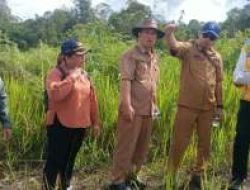 Pemkab Pakpak Bharat Siapkan Lahan Sekolah Rakyat, Didukung Pemerintah Pusat