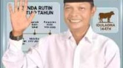 Efrizon Salurkan 19 Sapi Kurban untuk Warga Pangkalan Kerinci