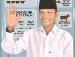 Efrizon Salurkan 19 Sapi Kurban untuk Warga Pangkalan Kerinci