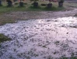 Rembesan Pipa Tua Cemari Lahan Warga di Pelalawan