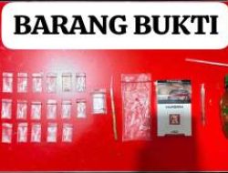 Satresnarkoba Polres Labuhanbatu Ringkus Diduga Pengedar Sabu