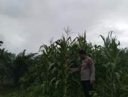 Polri Kawal Ketahanan Pangan di Pelalawan