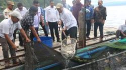 Wabup Taput Panen Raya Ikan Nila BUMDes Saurdot