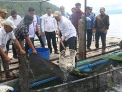 Wabup Taput Panen Raya Ikan Nila BUMDes Saurdot