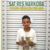 Polres Sergai Gerebek Sarang Narkoba di Sei Bamban