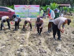 Polsek Ukui dan Petani Tanam Jagung 2 Hektar