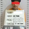 Pengedar Sabu Ditangkap di Kebun Sawit Labura