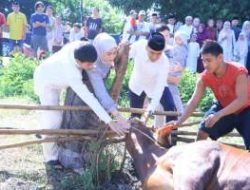 Polres Labuhanbatu Tebar Ribuan Paket Kurban di Hari Raya Idul Adha