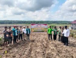 Polsek Pangkalan Kuras Kawal Penanaman Jagung 3 Hektare, Perkuat Ketahanan Pangan di Pelalawan