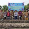 Gerakan Tanam Bawang Merah Digencarkan, Tebing Tinggi Perkuat Kendali Inflasi