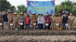 Gerakan Tanam Bawang Merah Digencarkan, Tebing Tinggi Perkuat Kendali Inflasi