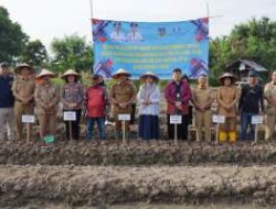 Gerakan Tanam Bawang Merah Digencarkan, Tebing Tinggi Perkuat Kendali Inflasi