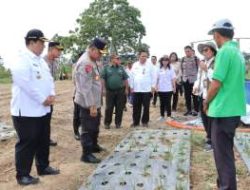 Kapoldasu Tinjau Pengembangan Bawang Putih di Samosir, Dorong Swasembada Pangan Nasional