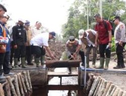 APP Group dan Pemerintah Perkuat Benteng Pencegahan Karhutla di Lahan Gambut Riau