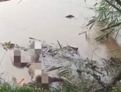 Setelah 10 Hari Pencarian, Korban Tenggelam di Sungai Bilah Ditemukan Meninggal