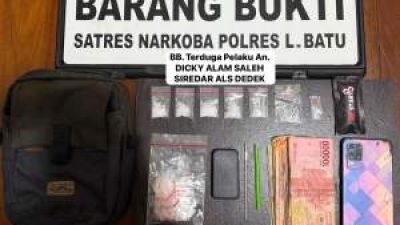 Satresnarkoba Polres Labuhanbatu Ringkus Pengedar Sabu dan Vape Diduga Berisi Etomidate