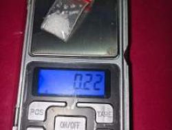 Polres Pelalawan Tangkap Terduga Pengguna Sabu di Perkebunan Sawit