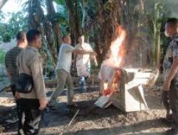 Polres Sergai Musnahkan Lapak Diduga Sarang Narkoba Usai Laporan Warga