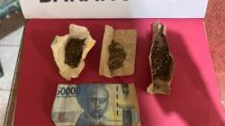 Dua Pria Diciduk Polisi, Ganja Siap Edar Disita di Bilah Hilir