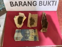 Dua Pria Diciduk Polisi, Ganja Siap Edar Disita di Bilah Hilir