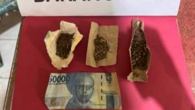 Dua Pria Diciduk Polisi, Ganja Siap Edar Disita di Bilah Hilir