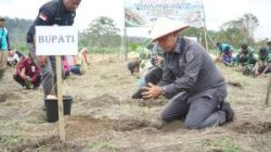 Dorong Kesejahteraan Petani, Pemkab Tapanuli Utara Gerakkan Penanaman 2,2 Juta Batang Kopi Arabika