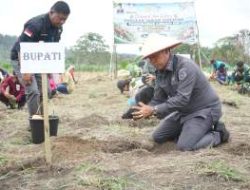 Dorong Kesejahteraan Petani, Pemkab Tapanuli Utara Gerakkan Penanaman 2,2 Juta Batang Kopi Arabika